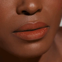 Ella Fitzgerald Lipstick Savoy -Eterna Beauty Shop new model lip swatch Ella Savoy dark 1800x1800 69ee12cf d841 4e0c 961f 26e81f30d757